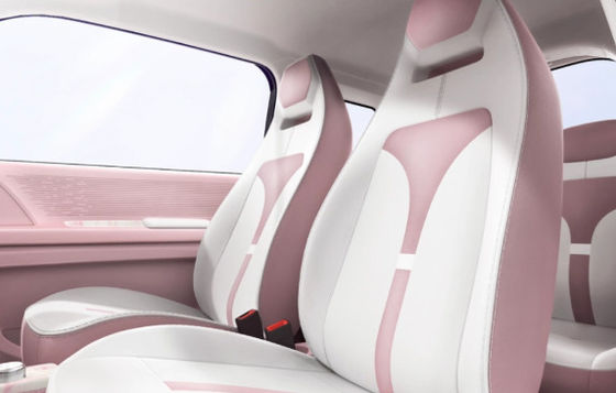 ตัวเลือกหลายสี มินิ Ev Cars Zhido Rainbow พร้อม CLTP 205km 17.13/17.3kwh แบตเตอรี่สําหรับพลังงาน 20&30kw